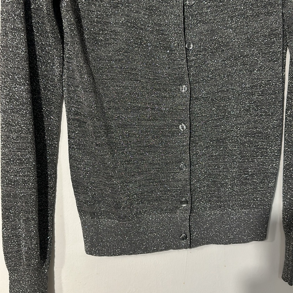 Woman’s Express Button Down Thin Silver Sparkling… - image 4